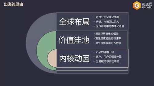 映魅咨詢 教育出海 沙龍 格如靈創始人張琨 不是所有技術產品型教育公司都適合出海,會遇到哪些坑